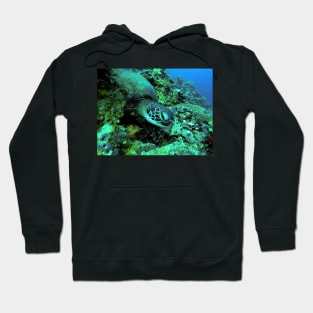 A Green Sea Turtle Hoodie